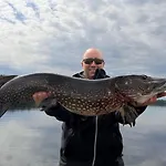 Norppa Punkaharju