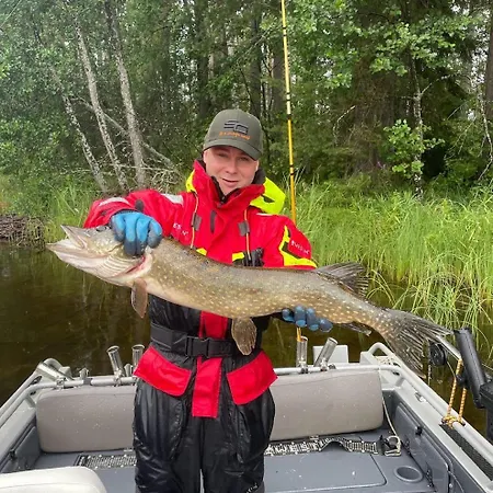 Villa Fishing Norppa On The Saimaa *
