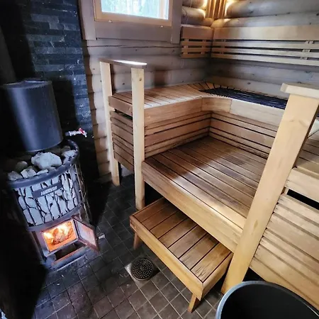 Norppa Punkaharju