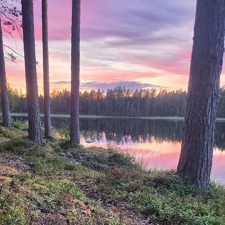 Villa Norppa Punkaharju