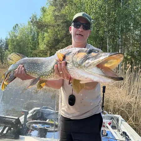 Fishing Norppa On The Saimaa Villa *
