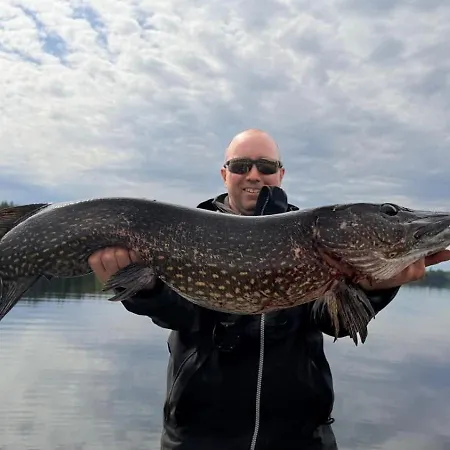 Norppa Punkaharju