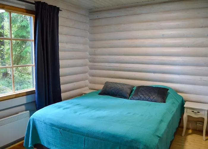 Villa Norppa Punkaharju