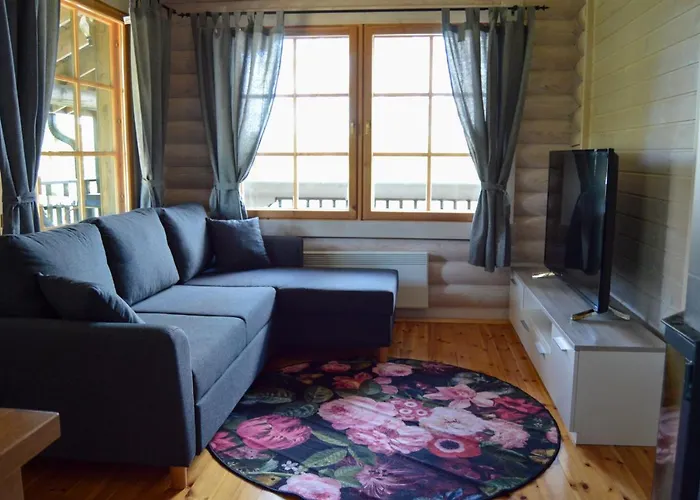 Norppa Villa Punkaharju