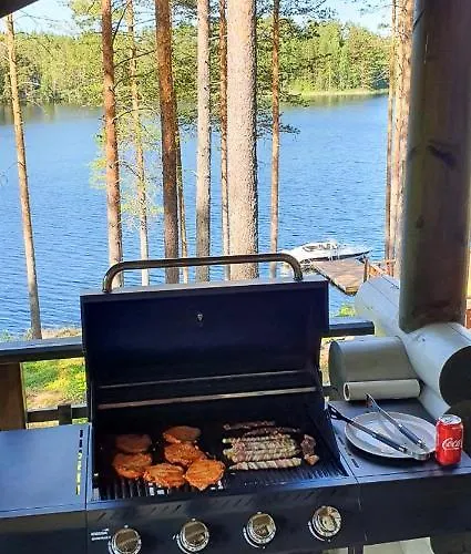 Villa Norppa Punkaharju