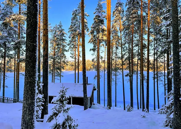 Norppa Villa Punkaharju
