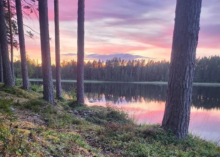 Villa Norppa Punkaharju